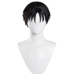 Peluca negra de cosplay Roy Mustang de Fullmetal Alchemist 3