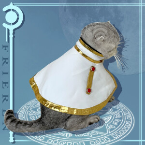 Cosplay para mascotas de Frieren de Sōsō no Frieren