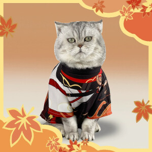 Cosplay de Genshin Impact para gatos - Camisetas para mascotas