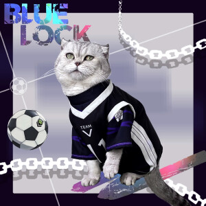 Camisetas Nagi y Bachira Meguru cosplay gatos - BLUELOCK