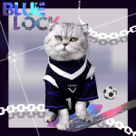 Camisetas Nagi y Bachira Meguru cosplay gatos BLUELOCK Camisetas Nagi y Bachira Meguru cosplay gatos BLUELOCK