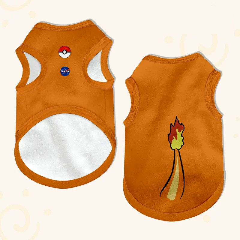 charmander-2-ver-gruesa