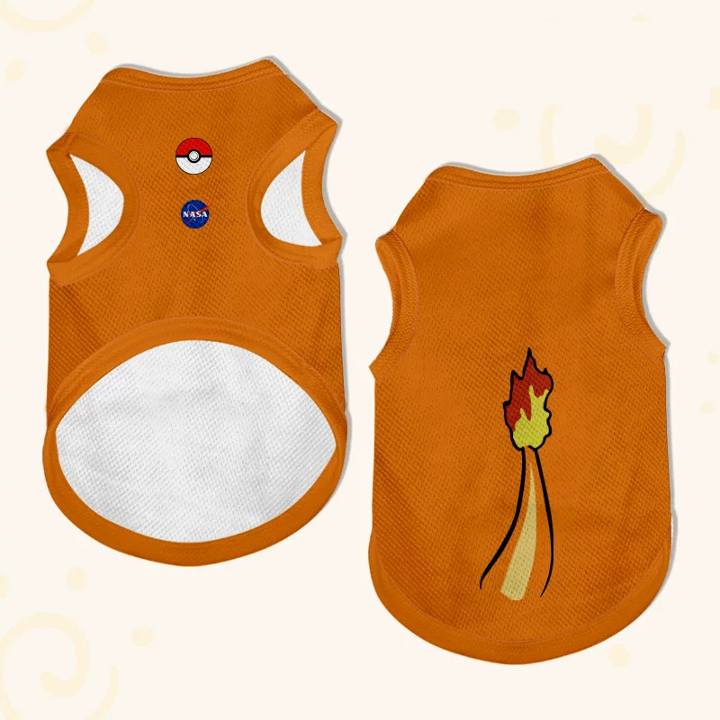 charmander-2-ver-fina