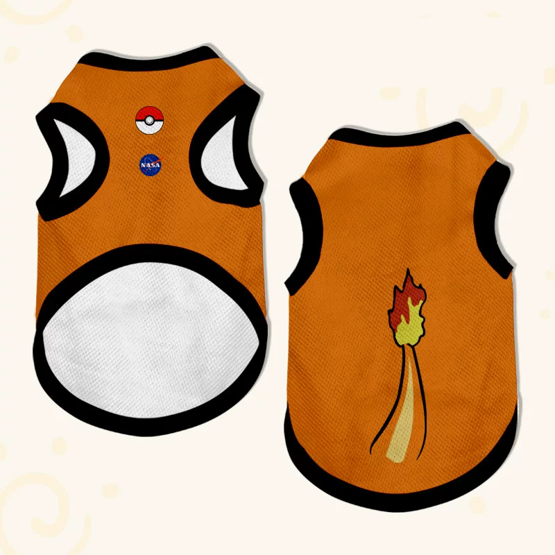 charmander-1-ver-fina