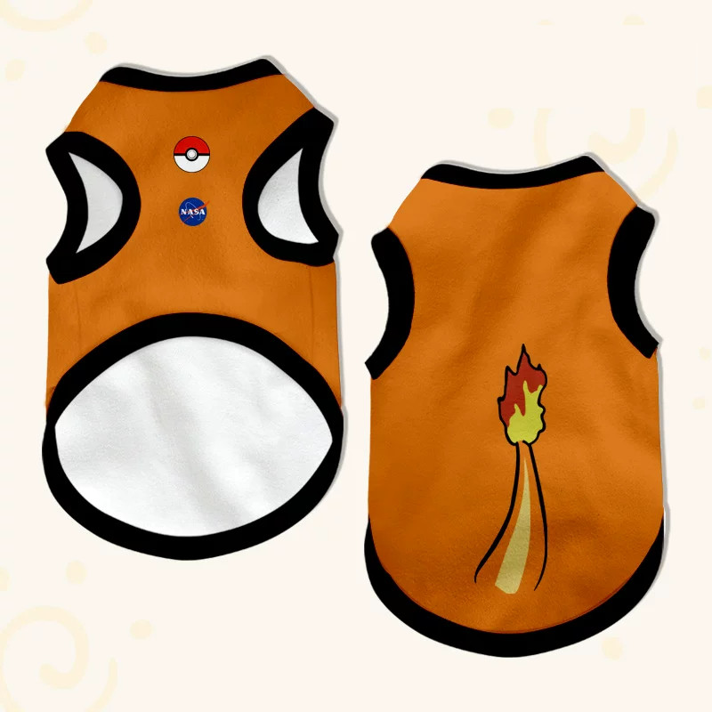 charmander-1-ver-gruesa