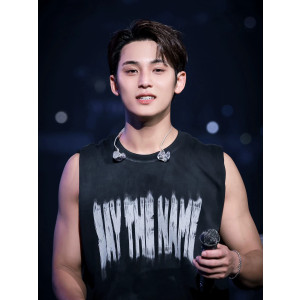 Camiseta sin mangas SEVENTEEN Say The Name – concierto kpop 2026