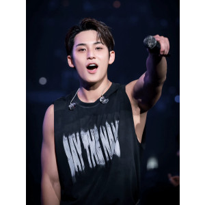Camiseta negra sin mangas Dino SEVENTEEN concierto k-pop Hong Kong Frikimall