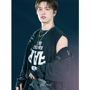 Camiseta negra sin mangas Dino SEVENTEEN concierto k-pop Hong Kong Frikimall