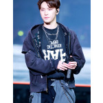 Camiseta negra sin mangas Dino SEVENTEEN concierto k-pop Hong Kong Frikimall